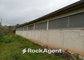 Terreno - Casa indipendente contrada san sergio mammola, Mammola - foto 17