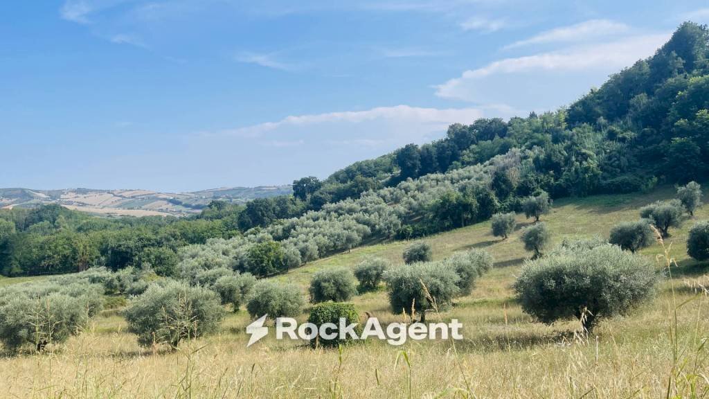 Terreno - Terreno agricolo via Sotto il Loco, Sant'Omero - foto 1