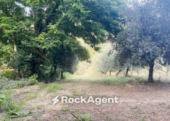 Terreno - Terreno agricolo via Sotto il Loco, Sant'Omero - foto 6