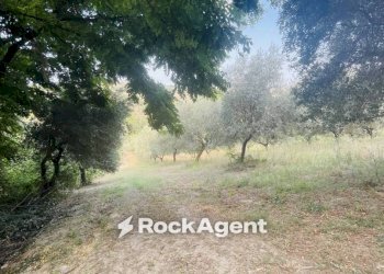 Terreno - Terreno agricolo via Sotto il Loco, Sant'Omero - foto 10