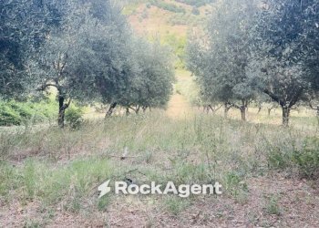Terreno - Terreno agricolo via Sotto il Loco, Sant'Omero - foto 12