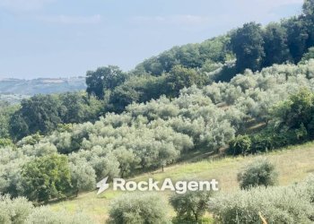Vista - Terreno agricolo via Sotto il Loco, Sant'Omero - foto 17