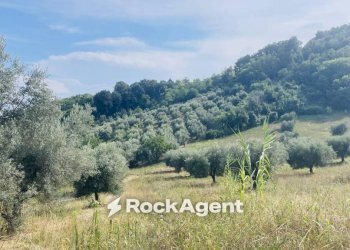 Terreno - Terreno agricolo via Sotto il Loco, Sant'Omero - foto 18