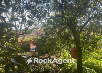 Giardino - Stabile - Palazzo via San Leonardo Zabatta, 15, Ottaviano - foto 32