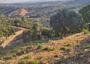 Terreno - Casa indipendente contrada Prisdarello, Gioiosa Ionica - foto 4