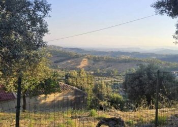Terreno - Casa indipendente contrada Prisdarello, Gioiosa Ionica - foto 5