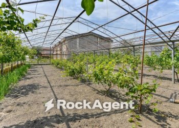 Terreno - Rustico via Orta Corcia, Angri - foto 17