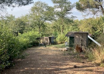 orto - Villa Via Fungiaia 10, Crespina Lorenzana - foto 25