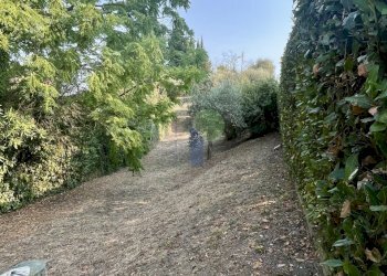 uliveto - Villa Via Fungiaia 10, Crespina Lorenzana - foto 28