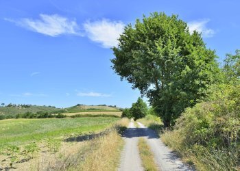 2 Strada di confine bis - Villa VOCABOLO COPIO, Baschi - foto 7