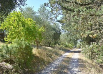 5 Ingresso al cortile bis - Villa VOCABOLO COPIO, Baschi - foto 10