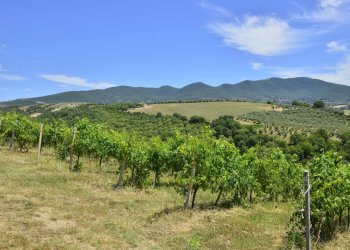 28 paesaggio circostante - Villa VOCABOLO COPIO, Baschi - foto 28