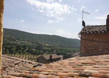 20190606_113001.jpg - Townhouse Via Duca degli Abruzzi, Lugnano in Teverina - photo 8