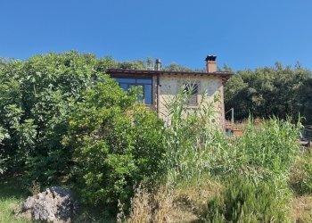 20260707_094623 - Casale Via Orvieto 35, Amelia - foto 7