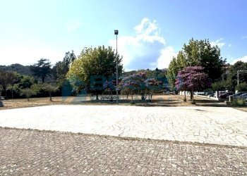 IMG_6208 - Appartamento Strada Statale 1 5, La Spezia - foto 2