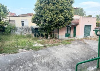 Resede Esterna / Giardino - Villa Via Aurelia 4, Vecchiano - foto 15