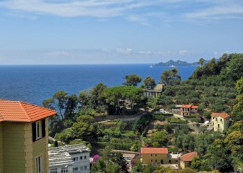 20260714_115517 - Casa semi indipendente Via dei Velluti 5, Zoagli - foto 1