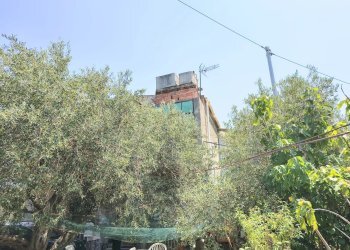 Townhouse Messina - photo 2