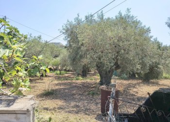 Townhouse Messina - photo 4