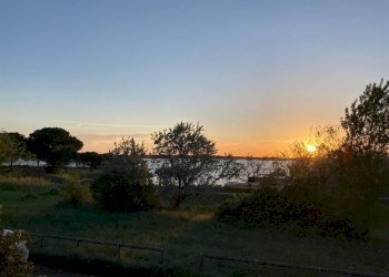 Villa Bifamiliare Via degli oleandri, Ravenna - foto 1