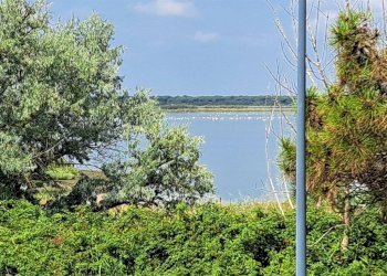 Villa Bifamiliare Via degli oleandri, Ravenna - foto 4