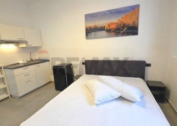 One-room apartment Lingotto, Torino, Torino (neighborhood Lingotto) - photo 4