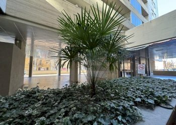ESTERNO - Two-room apartment via Paolo Fabbri, Bologna (neighborhood Massarenti) - photo 16