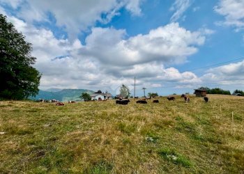 Two-room apartment Via Quinzeina, Colleretto Castelnuovo - photo 12