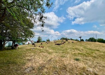 Two-room apartment Via Quinzeina, Colleretto Castelnuovo - photo 21