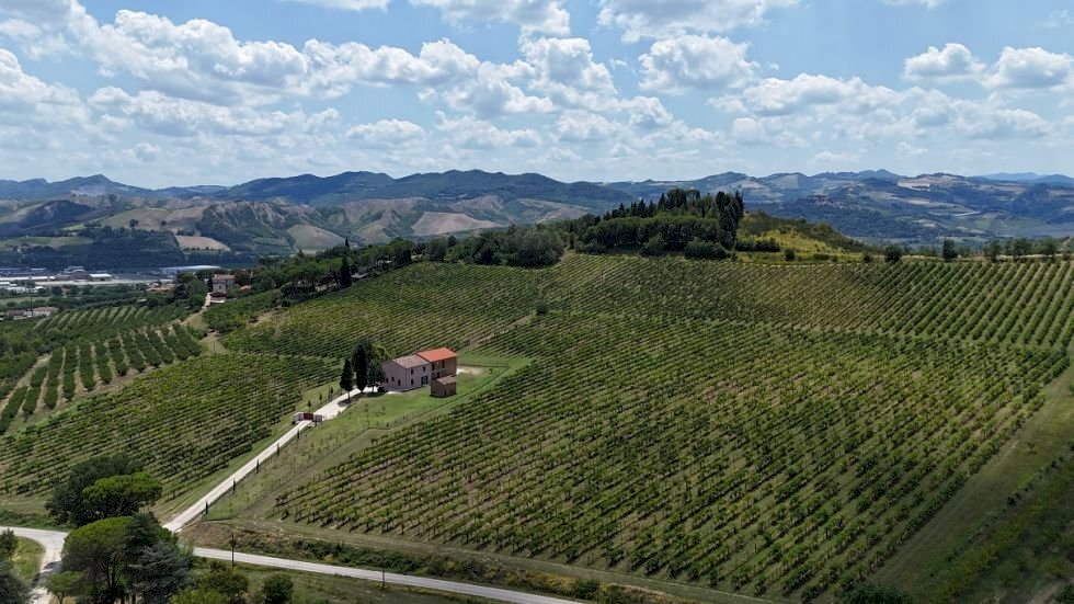 Agricultural land Casalfiumanese - photo 1