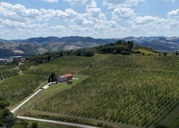 Agricultural land Casalfiumanese - photo 1
