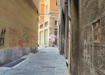 Shop vico cicala, Genova (neighborhood Centro Storico) - photo 9