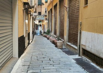 Shop vico cicala, Genova (neighborhood Centro Storico) - photo 10