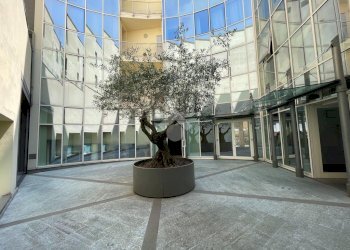Bilocale Via Paolo Maria Paciaudi, Parma (zona San Leonardo) - foto 1