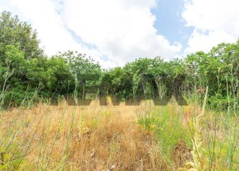 Giardino - Terreno agricolo Via Teocrito
snc, Pedara - foto 4