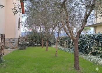 Giardino - Casa indipendente Aldo Moro
 
6, Radda in Chianti - foto 29