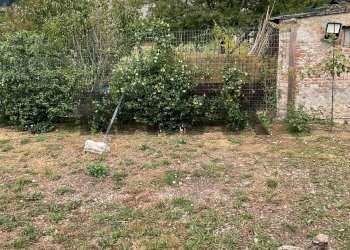 Giardino - Casa semi indipendente via Enrico Tazzoli
11, Carugo - foto 16