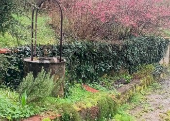 Giardino - Casa indipendente Via Orbregno
 
23, Prasco - foto 53