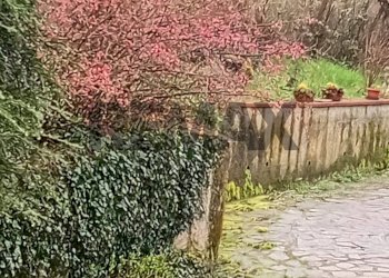 Giardino - Casa indipendente Via Orbregno
 
23, Prasco - foto 55
