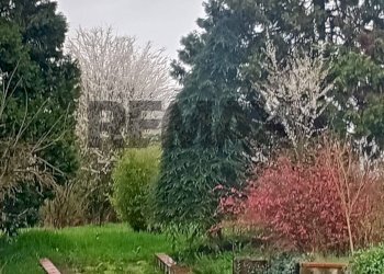 Giardino - Casa indipendente Via Orbregno
 
23, Prasco - foto 56