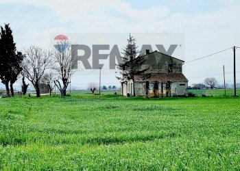Giardino - Terreno agricolo Località Falcineto
 
snc, Fano - foto 3