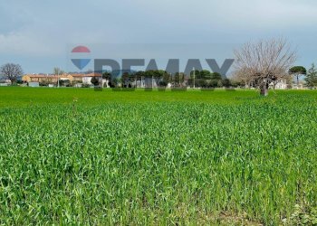 Giardino - Terreno agricolo Località Falcineto
 
snc, Fano - foto 8