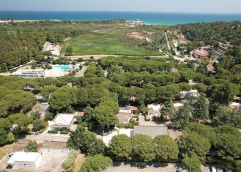 esterno - Three-room apartment Mira Hotel
 
SNC, Peschici - photo 26