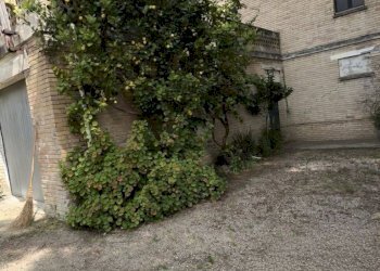 Foto 15 - Rustico Contrada Tosciano
 
36, Ripatransone - foto 15