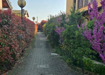 Giardino - Two-room apartment Strada Traversante Ravadese
71, Parma - photo 1