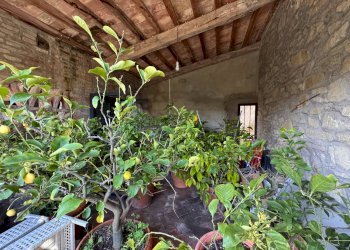 Foto 4 - Rustic via della chiantigiana
300, Cavriglia - photo 4