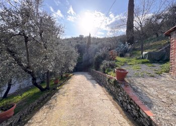 Foto 5 - Rustic via della chiantigiana
300, Cavriglia - photo 5