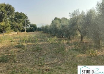 Foto 8 - Villa Amelia - foto 8