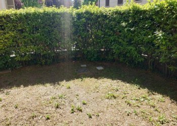 Giardino - Appartamento via Clemente Bondi, 20, Parma (zona San Lazzaro) - foto 16