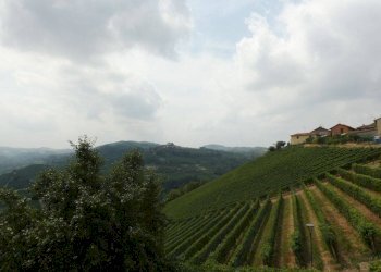Vista - Villa via Vittorio Emanuele, Castiglione Falletto - photo 10